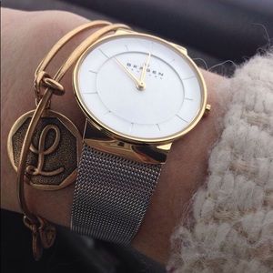 Skagen Stainless Steel Watch